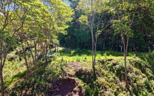 Prime Mountain Land for Sale: 1.48-Acre Estate in Guadalupe de Rivas | Build Your Dream Escape