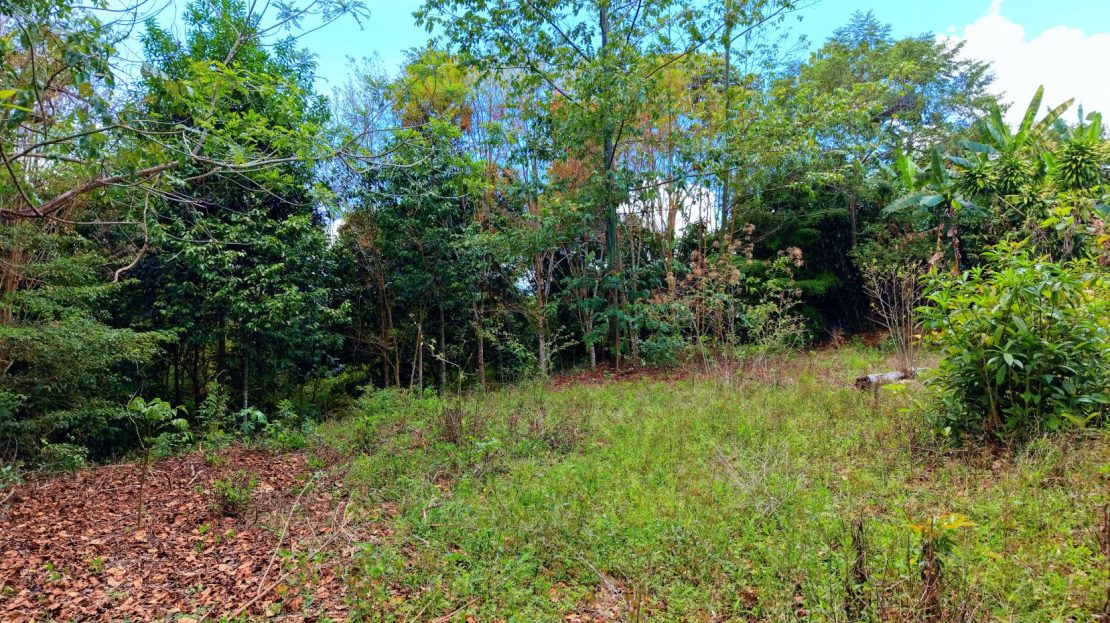 Calle Calallo