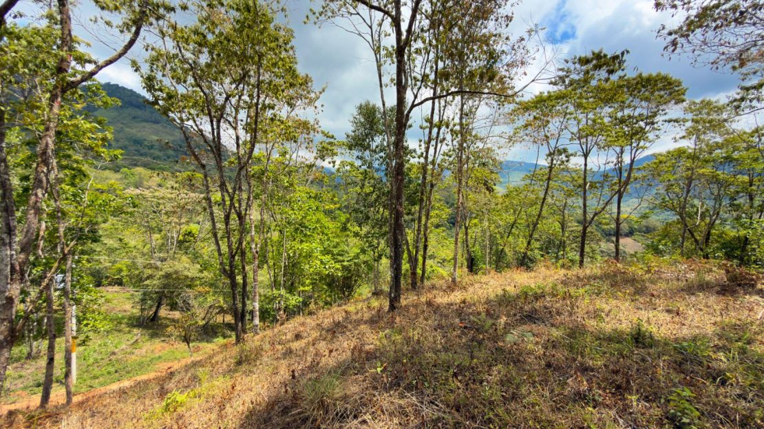 Costa Rica Real Estate
