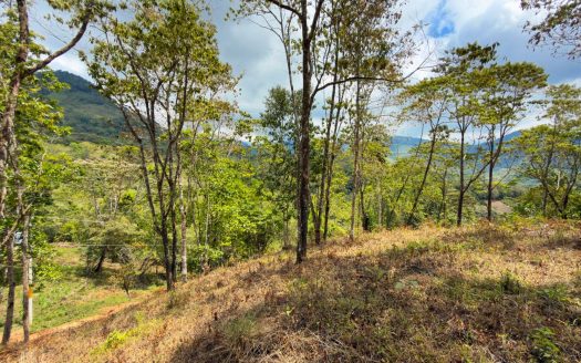 For Sale: Beautiful Mountain 1.414m2 Residential Lot in Quebradas – CR