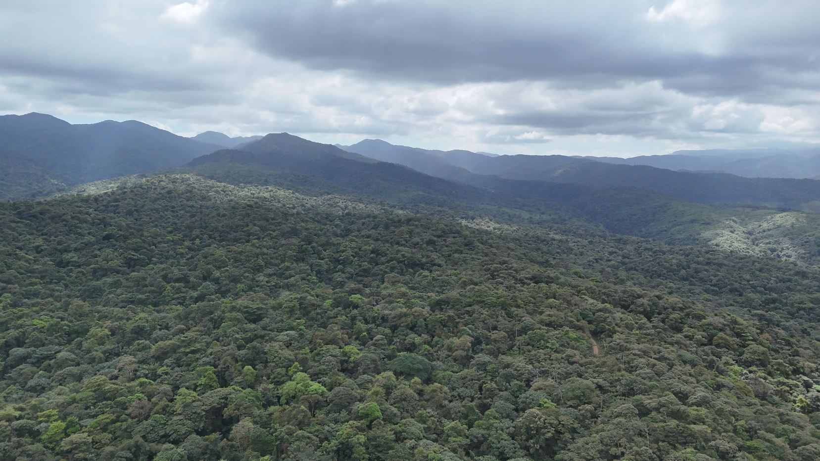 757 Hectares of Cloud Forest for Sale in Costa Rica – Ideal for Carbon Credits, Conservation and Wellness Development