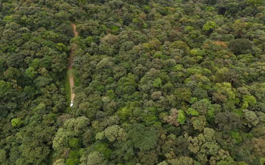 757 Hectares of Cloud Forest for Sale in Costa Rica – Ideal for Carbon Credits, Conservation and Wellness Development