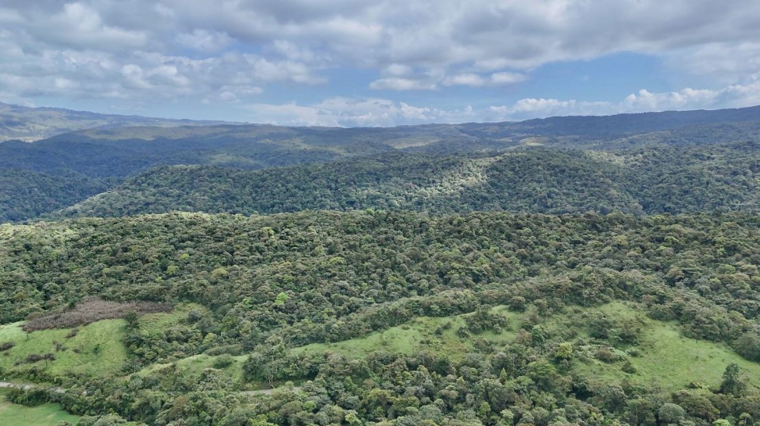Conservation and Wellness Development
