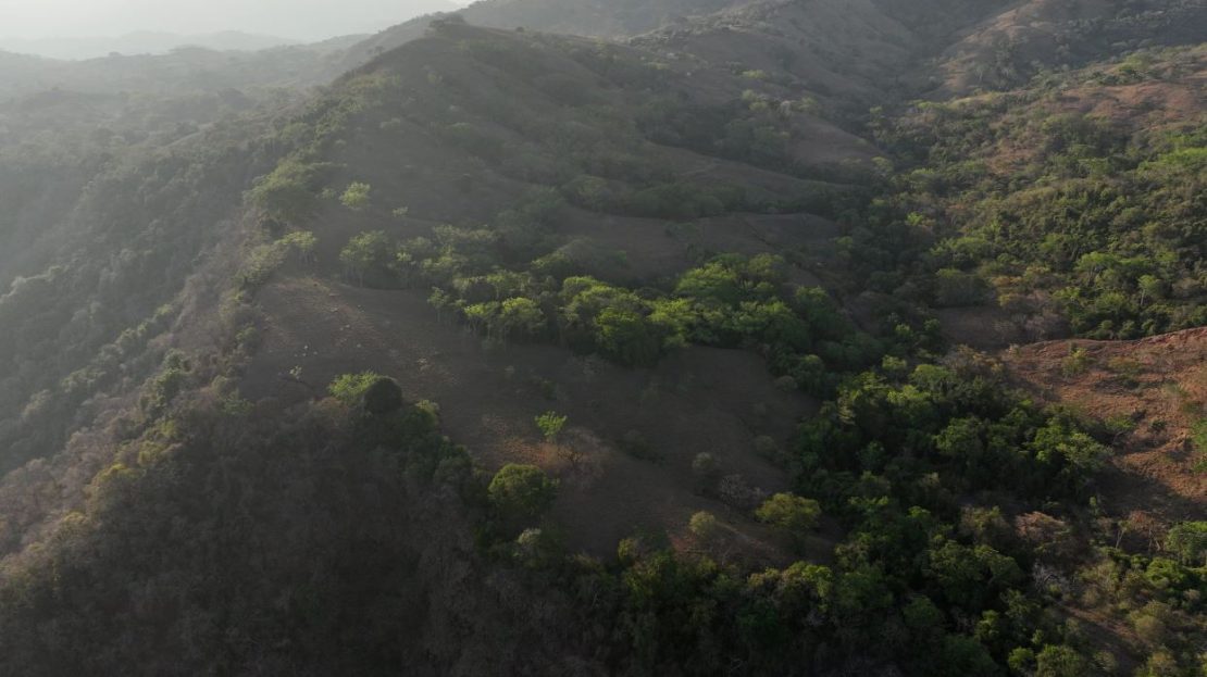 Guanacaste