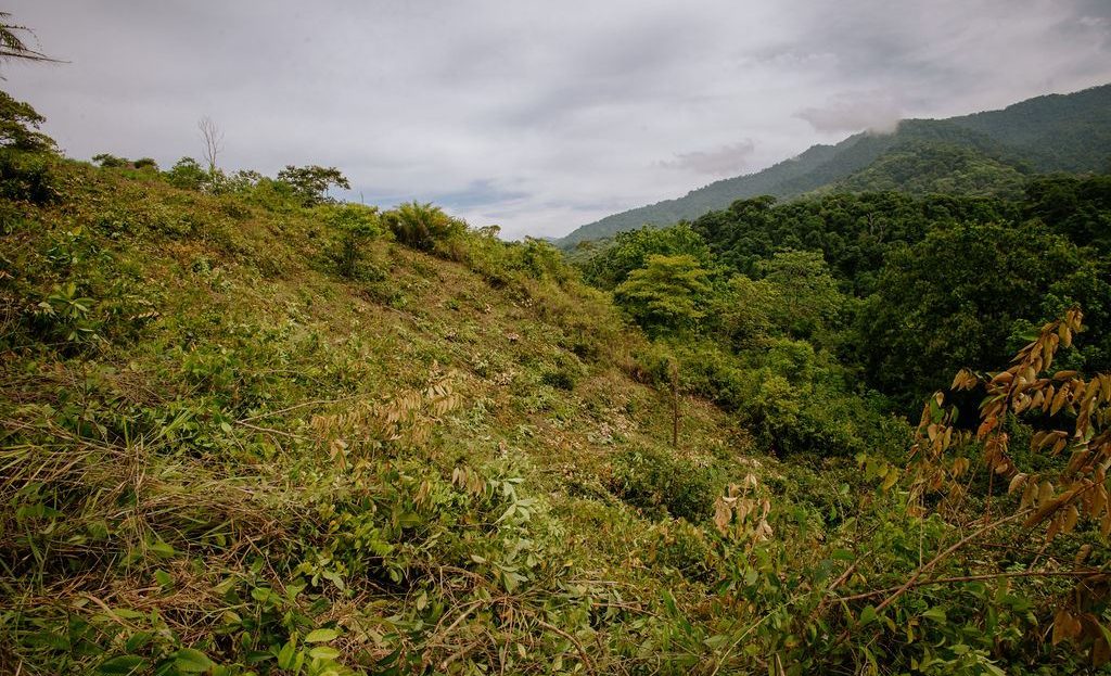 Premier Ocean View Investment Land in Manuel Antonio Region with River Frontage