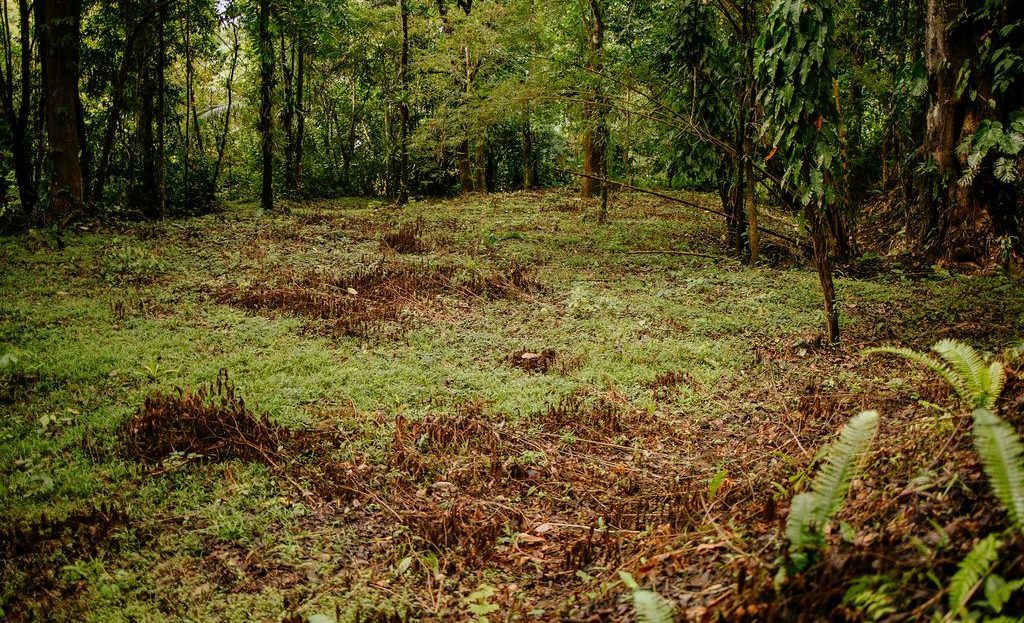 Costa Rica Real Estate