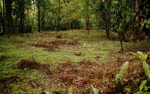 Premier Ocean View Investment Land in Manuel Antonio Region with River Frontage