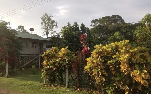 Upala