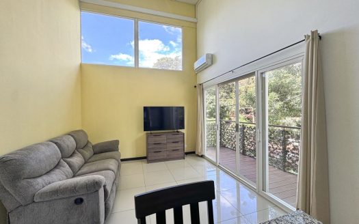 Penthouse Forest View condo apartment San Nicolás de Bari