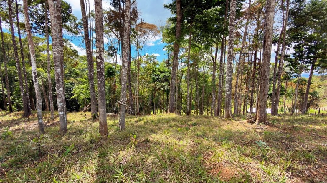 06m2 Residential Lot in Quebradas - CR
