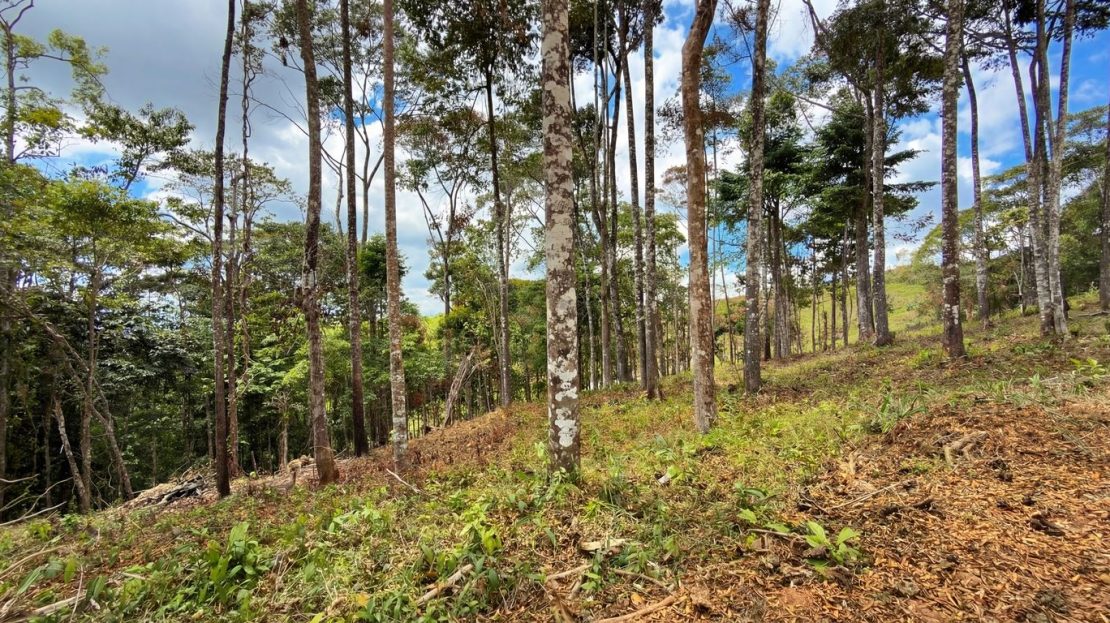 Costa Rica Real Estate