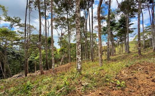 For Sale: Beautiful Mountain 808m2 Residential Lot in Quebradas – CR
