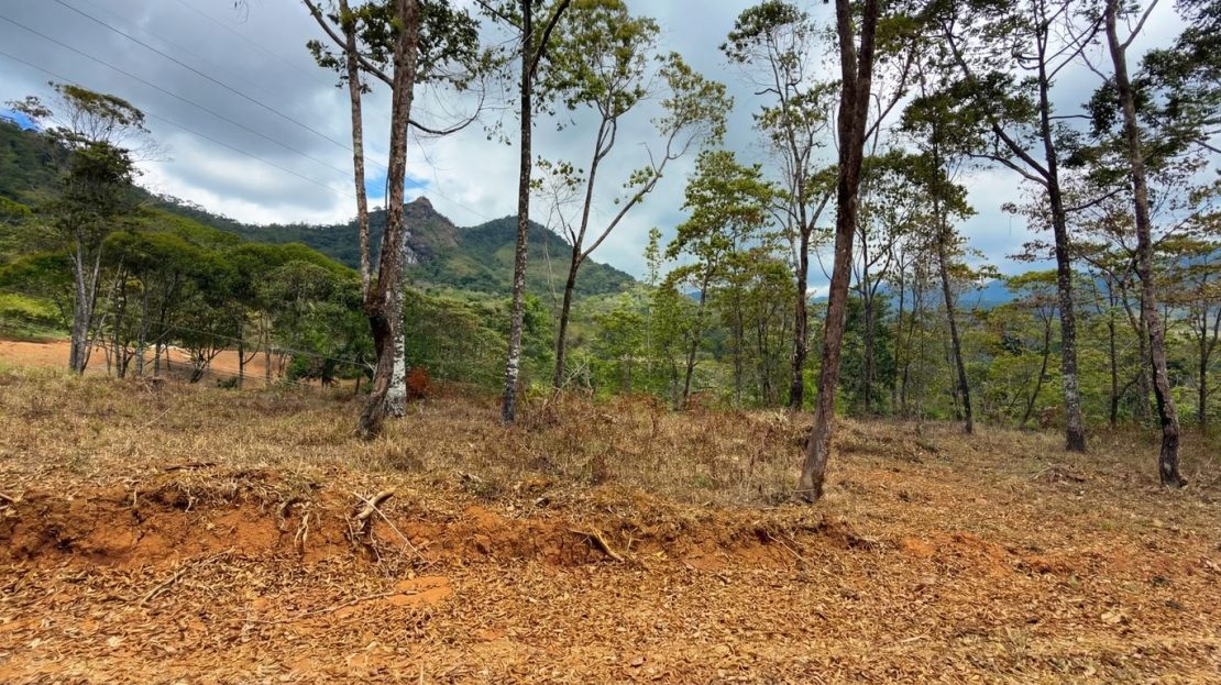 Costa Rica Real Estate