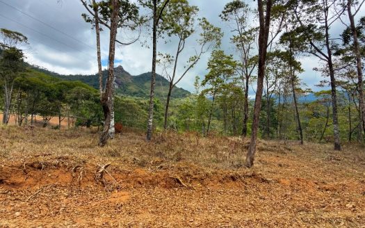 For Sale: Beautiful Mountain 969m2 Residential Lot in Quebradas – CR