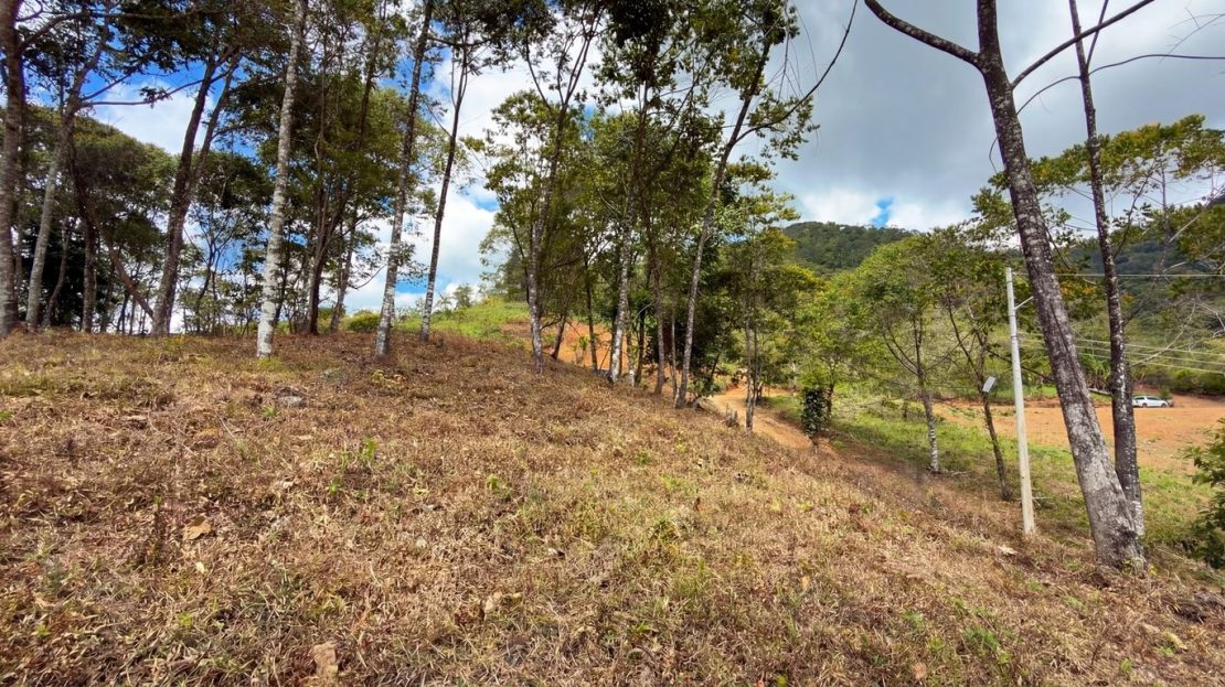 Costa Rica Real Estate