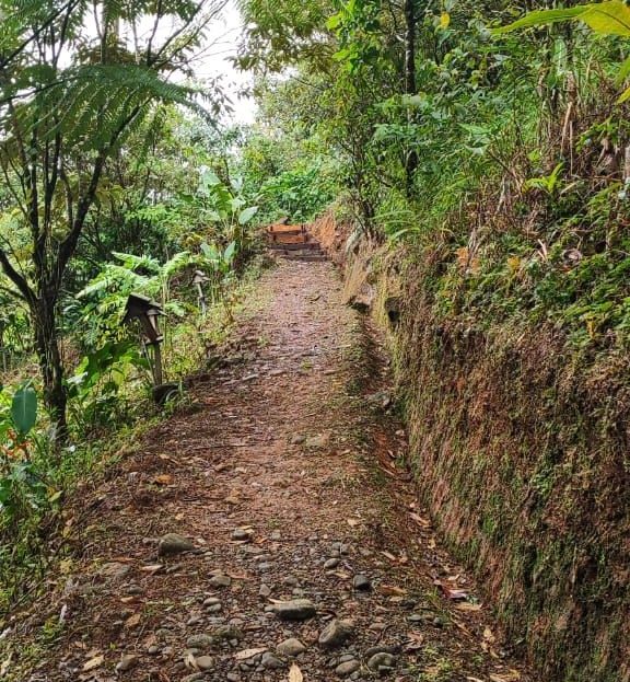 Costa Rica Real Estate