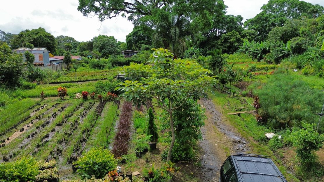 Costa Rica Real Estate