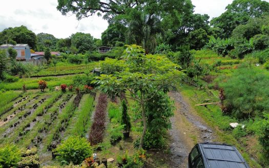Land for Sale with House for Renovation – Barrio San José, Alajuela