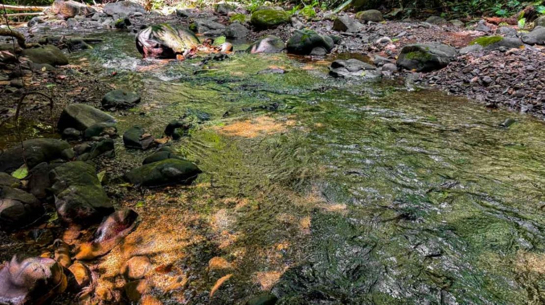 23.5-Acre Riverfront Farm Near Ojochal with Waterfall & Permaculture Potential