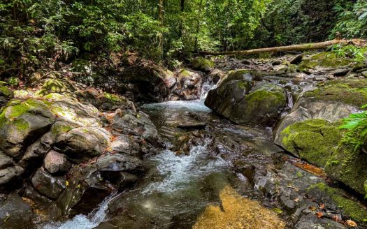 23.5-Acre Riverfront Farm Near Ojochal with Waterfall & Permaculture Potential