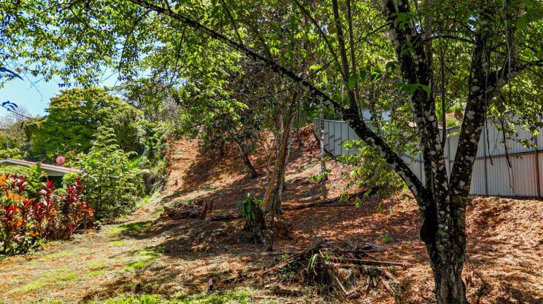 Prime Development Land in Ojochal with Cabin | Subdivision Opportunity