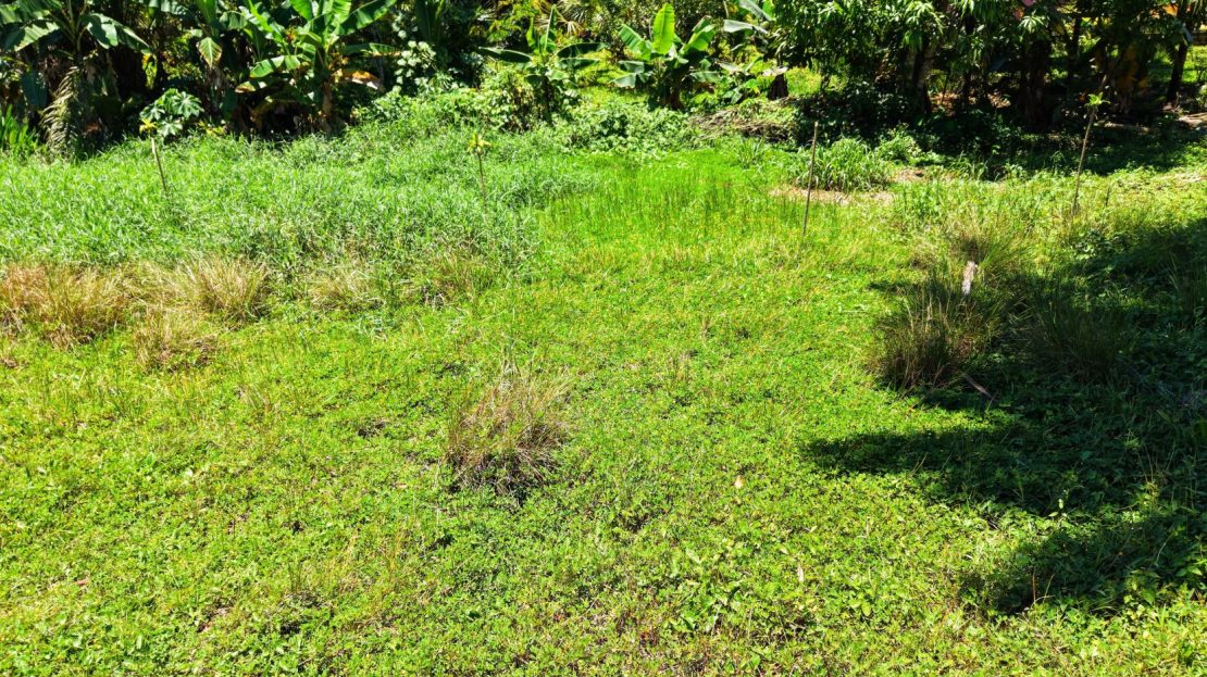 Great Residential Property Lot with high Aggregated Potential in Cajon.