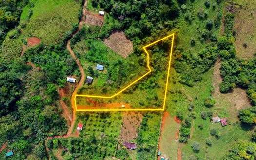 Beautiful Land for Sale in the heart of Santa Elena Near Waldorf School