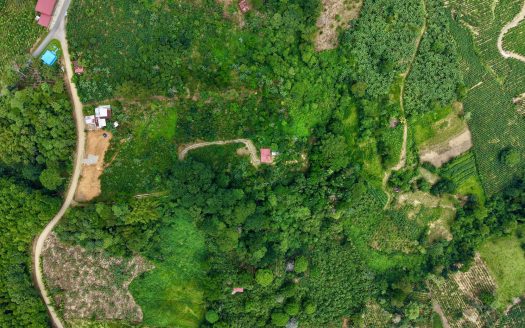Organic Farm with Home for sale with Talamanca Views in San Gabriel, Sustainable Retreat