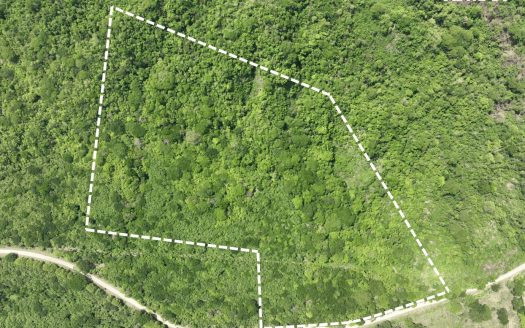 Cacao Farm with Irrigation & Public Road Frontage | 130,660 m² | La Fresca, Lepanto, Puntarenas