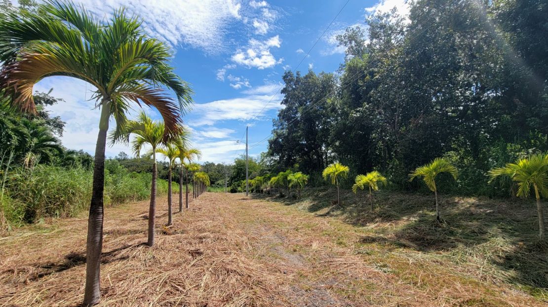 Costa Rica Real Estate