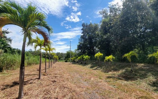 Riverfront Residential Development of 47 hectares