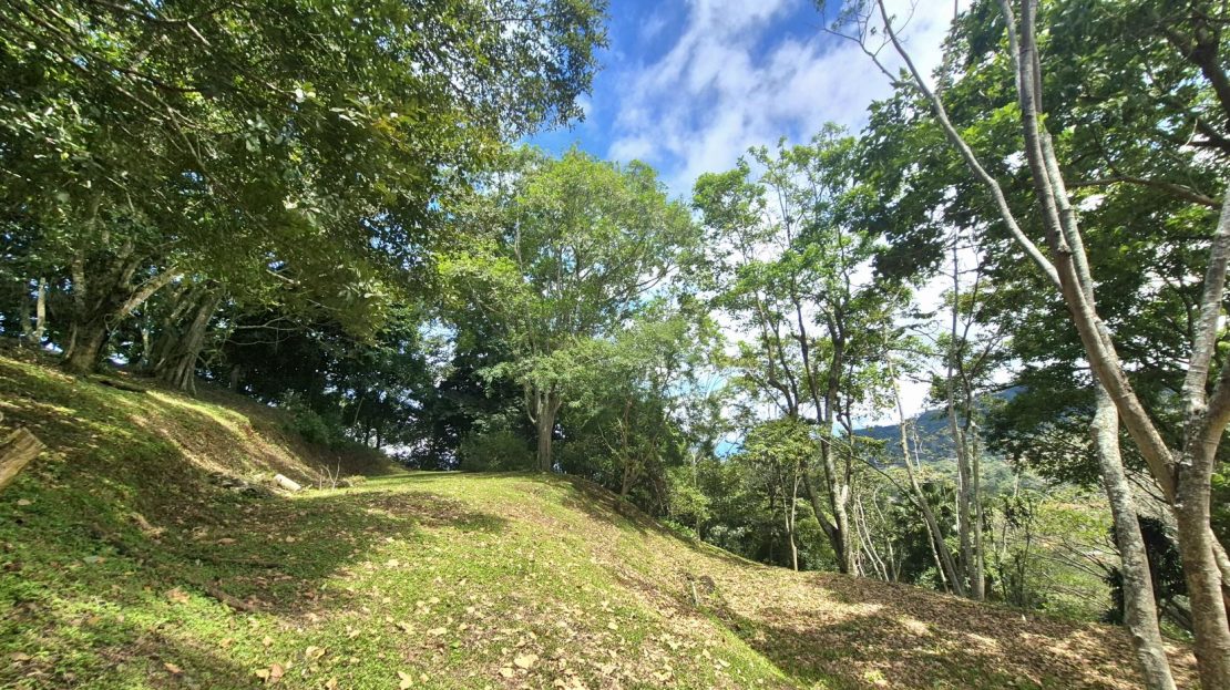 Hidden Paradise Lot (1.73 acres) in Private Gated Community – 15 Minutes from Atenas Center