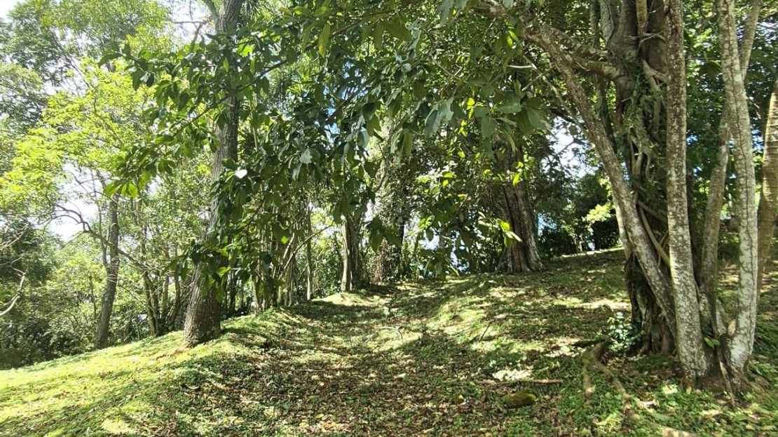 Costa Rica Real Estate