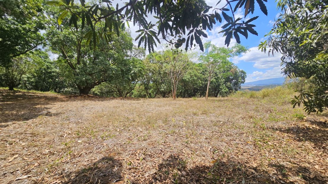 Costa Rica Real Estate