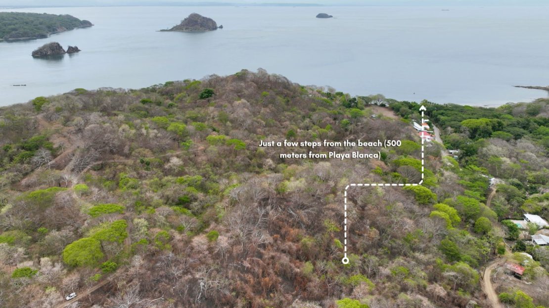 Costa Rica Real Estate