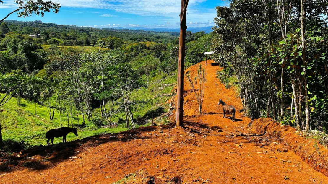 Beautiful Land for Sale in the heart of Santa Elena Near Waldorf School