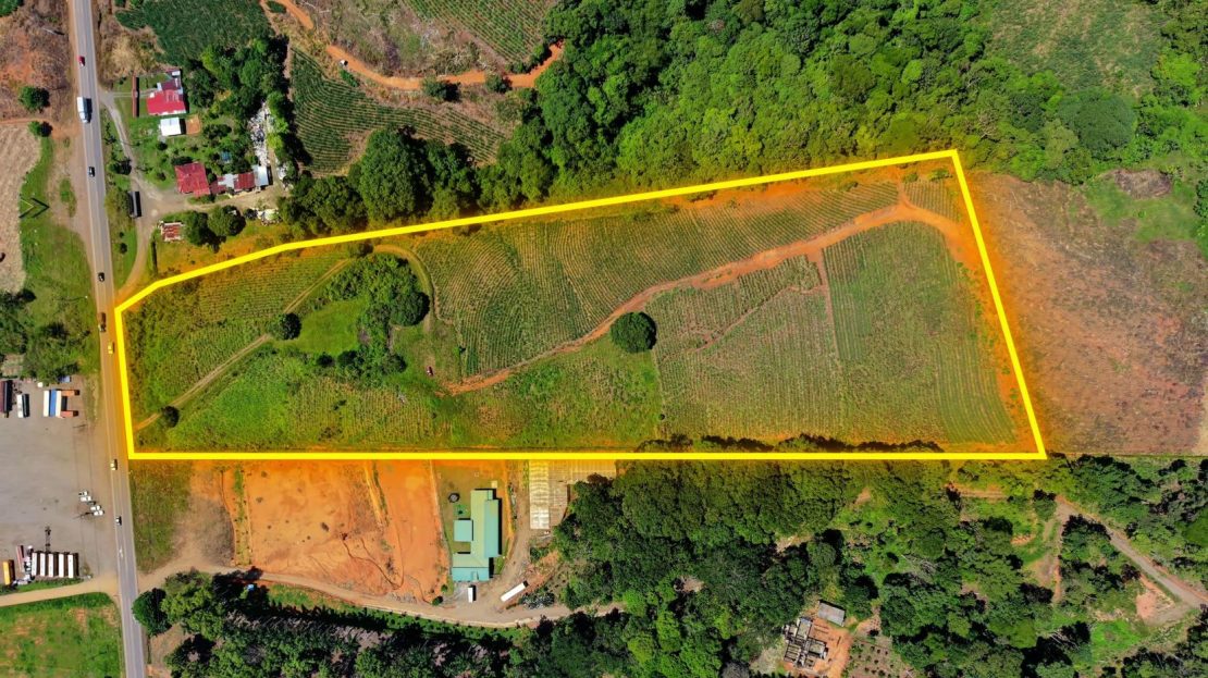 Prime Commercial Development Land for Sale in Repunta
