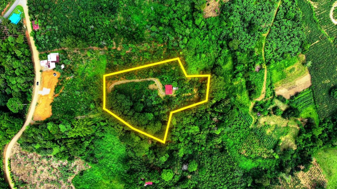 Organic Farm with Home for sale with Talamanca Views in San Gabriel