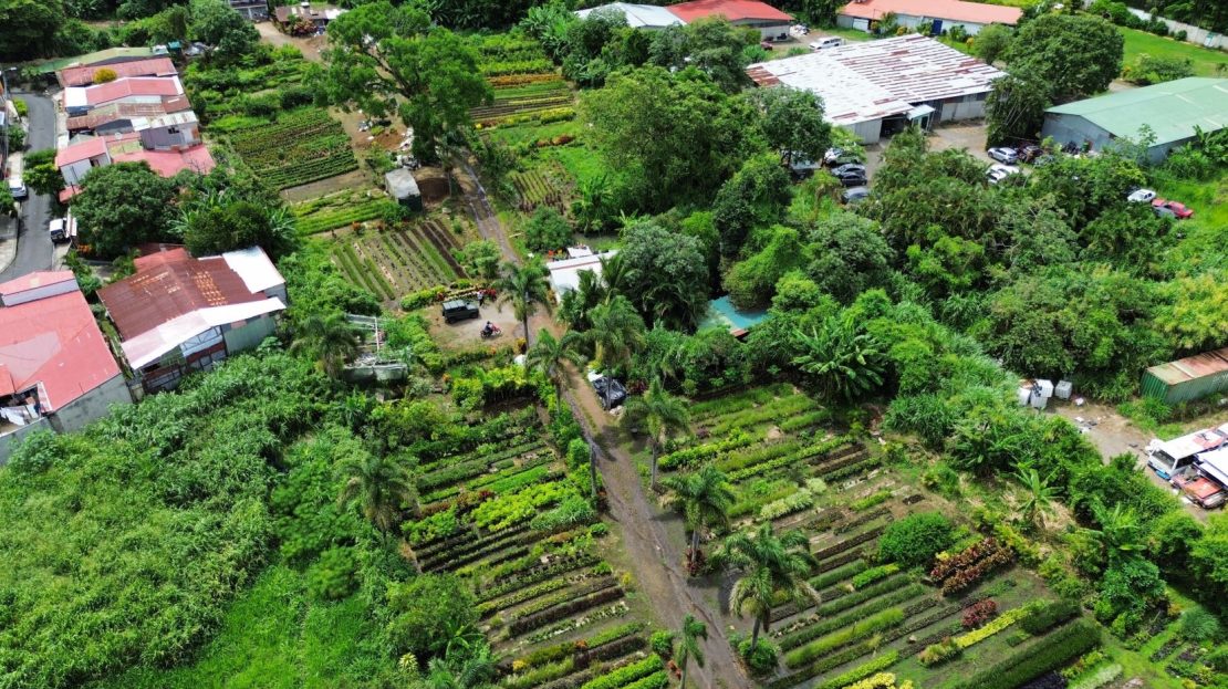 Alajuela