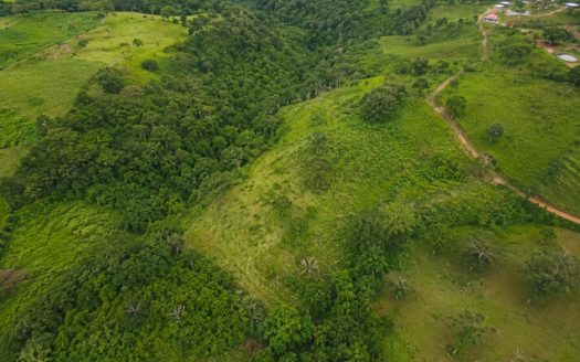 PRODUCTIVE FARM FOR SALE IN SANTA CECILIA, LA CRUZ – GUANACASTE