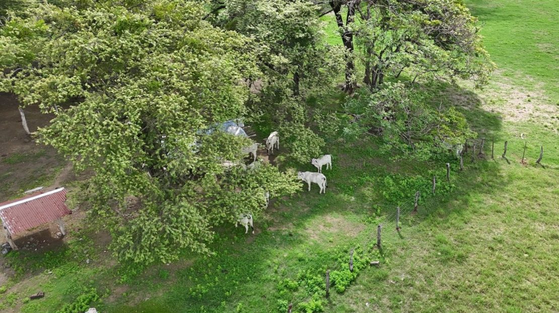 26.04 Hectare Farm in Río Seco ~ Water