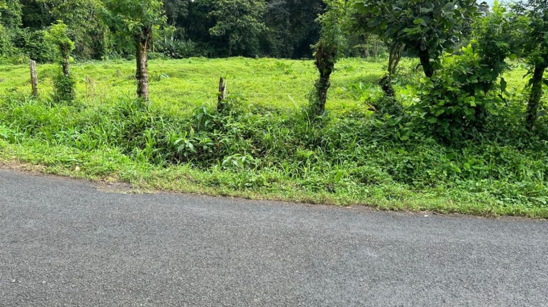 Costa Rica Real Estate