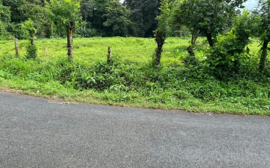 Flat 10,764 Sq Ft Ready-to-Build Lot in Las Horquetas, Sarapiquí – Eco-Living Hub