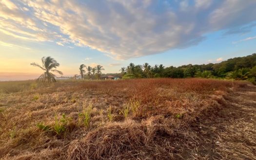 Beachfront Lots for Sale in Playa Bajamar