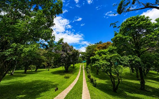 Otro Mundo | A Private Three-Bedroom Lake View Residence Above Lake Arenal Guanacaste