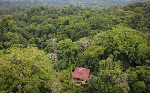 Casa Canopy – Luxury Home on 2.4-Hectare Virgin Forest