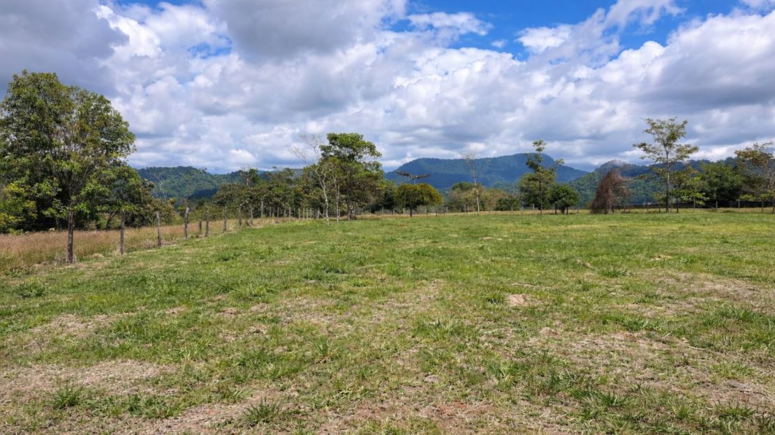 Prime Flat 4.4-Acre Development Property Near Marina Pez Vela & Manuel Antonio with Easy Paved Access