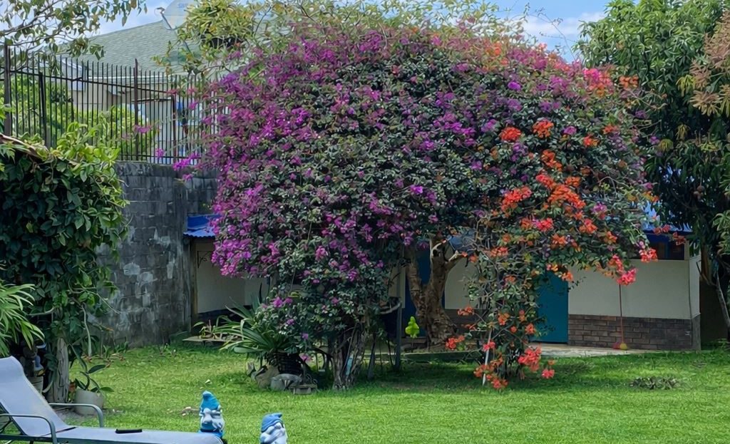 Costa Rica Real Estate