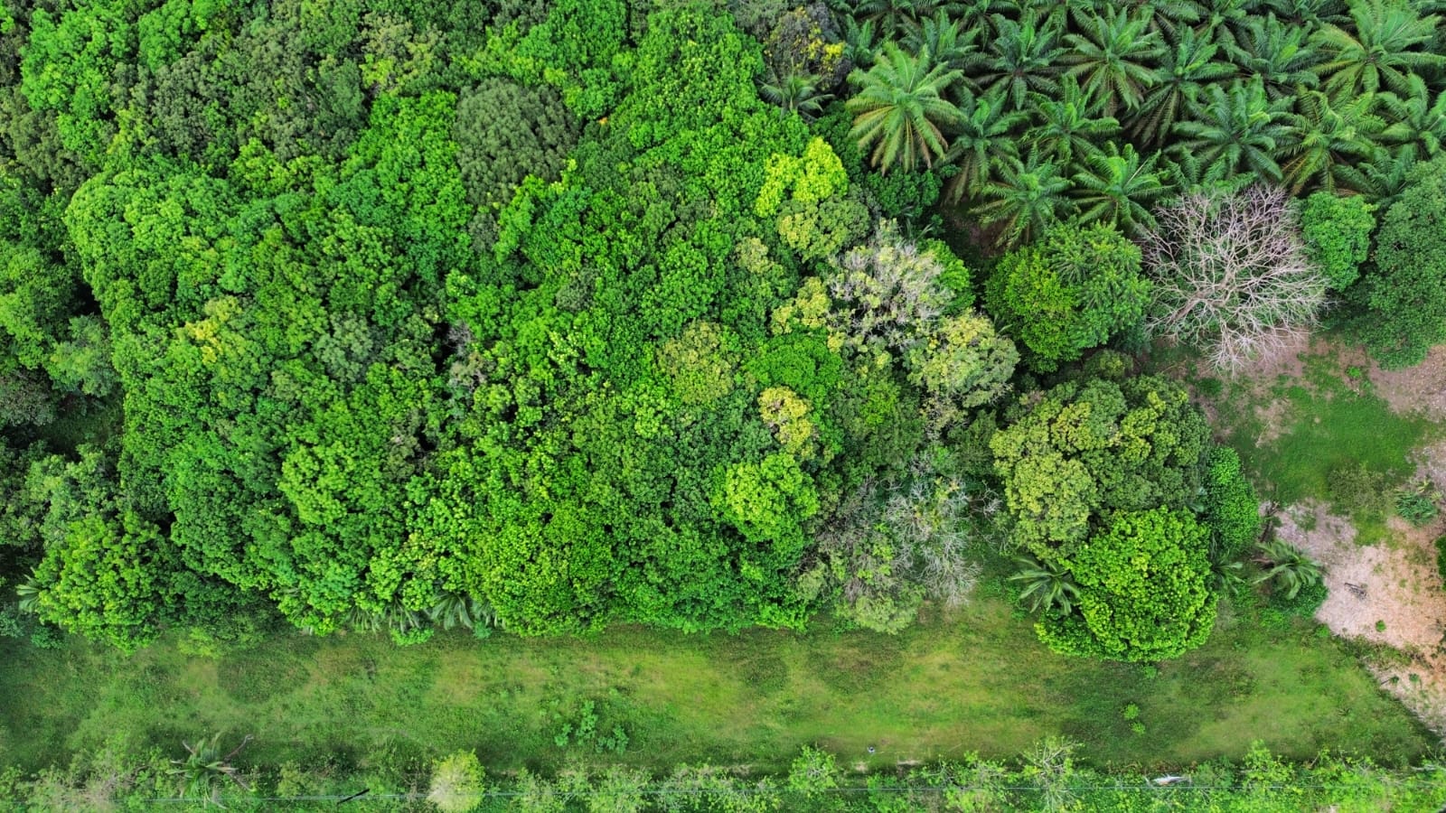 Strategic Investment: 8,400 m² Prime Commercial Land on the Inter-American Highway