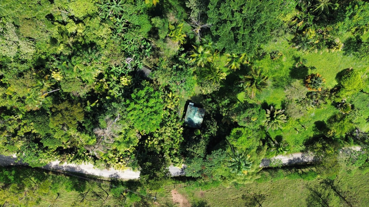 17-Hectare Property with House in Linda Vista, San Vito